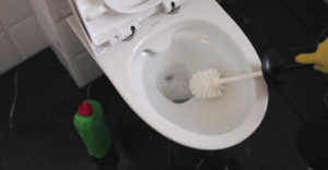Toilet Clean